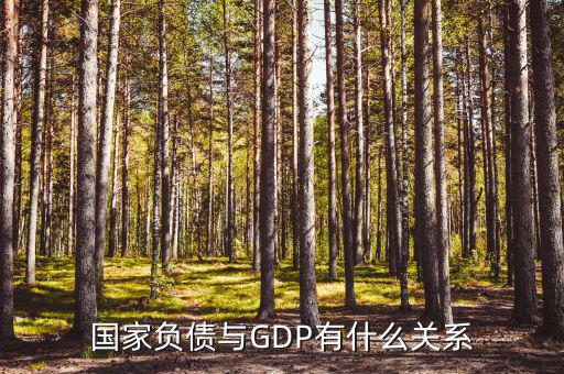國家負(fù)債是什么，國債是什么比如說中國有美國的國債100億是否可以理解為美國欠中