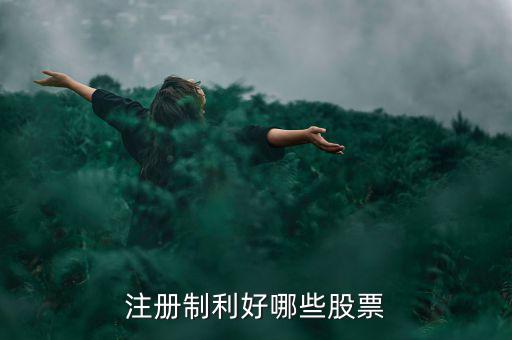 什么股票注冊制，IPO注冊制是什么意思