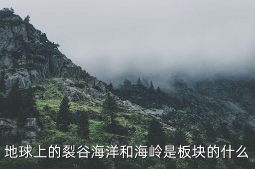 誠益通屬于什么板塊，地球上的裂谷海洋和海嶺是板塊的什么