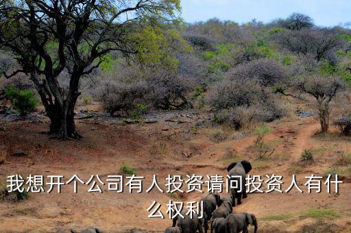 投資人最核心的優(yōu)先權是什么，投資人最關心哪三大核心問題
