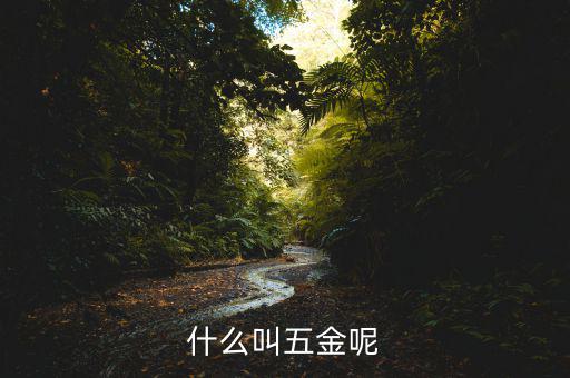 什么叫一市五金多套餐，知不知道招聘里說的 五金齊全是指什么