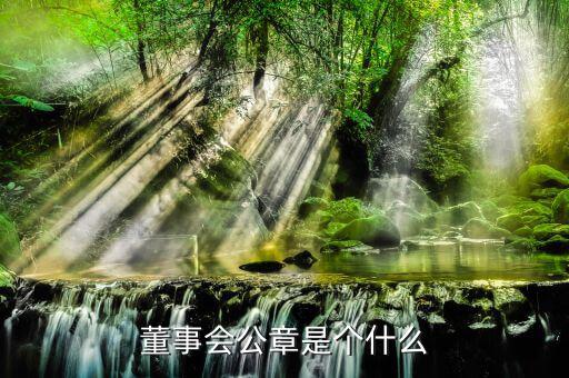 什么是董事會(huì)印章，完美國(guó)際魔方董事會(huì)印章有什么用