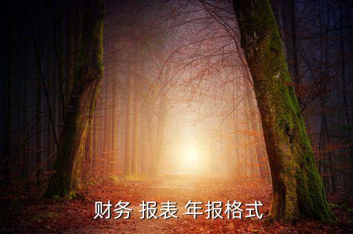  財務 報表 年報格式