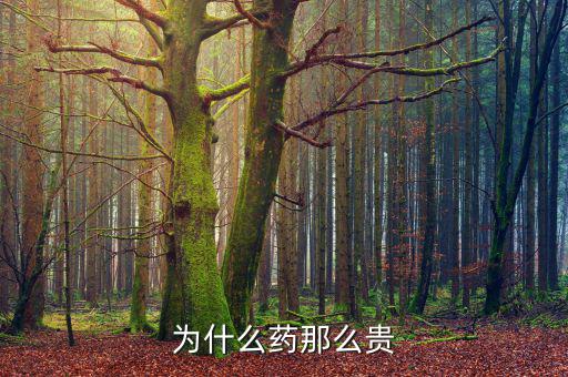 為什么藥價那么貴，醫(yī)藥費為什么那么貴