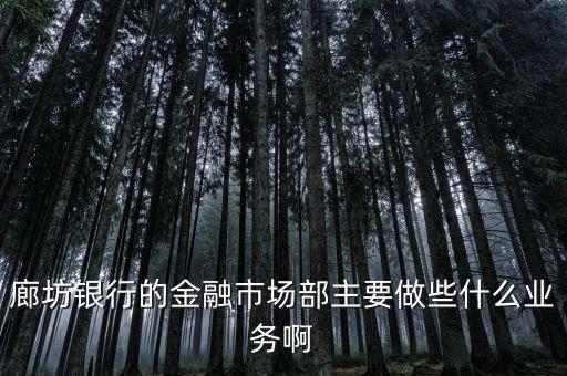 齊飛金融主營什么業(yè)務(wù)，堅固金融都有什么業(yè)務(wù)實力怎么樣