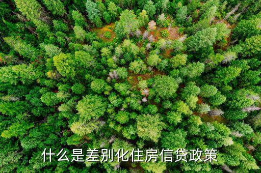 什么是差別化住房信貸政策，什么叫差別化住房信貸政策
