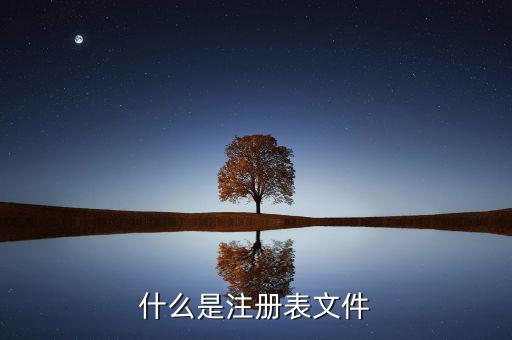 什么是注冊制，化妝品注冊是什么