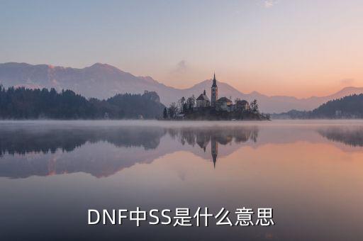 ngbss是什么，DNF武器cc和ss是指什么請詳細(xì)解釋