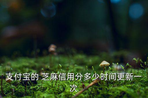 芝麻信用分什么時(shí)候更新，支付寶的 芝麻信用分多少時(shí)間更新一次