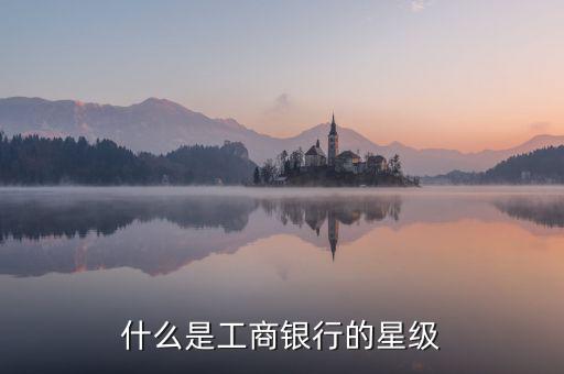 工行星點值是什么意思，工行貴金屬買賣持倉算不算星點值