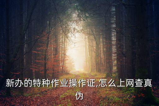 淘寶假證怎么查,開(kāi)車出現(xiàn)病例如何取證?