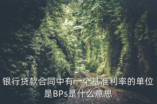利率bps是什么意思，BPS是什么