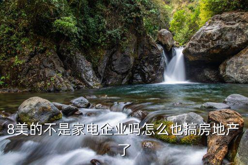 為什么家電行業(yè)只有美的盈利，美的小家電為什么會(huì)如此興盛