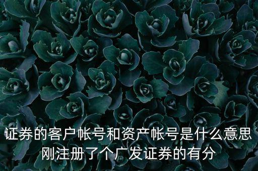 申萬宏源資產(chǎn)賬號是什么，我知道瀘A股東的賬號怎么查資金賬號申萬宏源