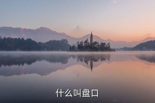 大盤口什么意思，大盤中的盤口是什么意思啊