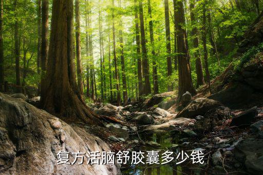 江中心腦舒什么價(jià)位，重慶哪里買復(fù)方活腦舒膠囊