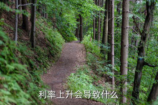 世界利率上升國(guó)內(nèi)利率有什么變化，利率上調(diào)對(duì)中國(guó)經(jīng)濟(jì)的影響