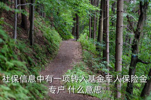 什么是社保轉(zhuǎn)入基金，請問一下社保綜合中轉(zhuǎn)入基金是什么呢不明白里面的基金是怎么回事
