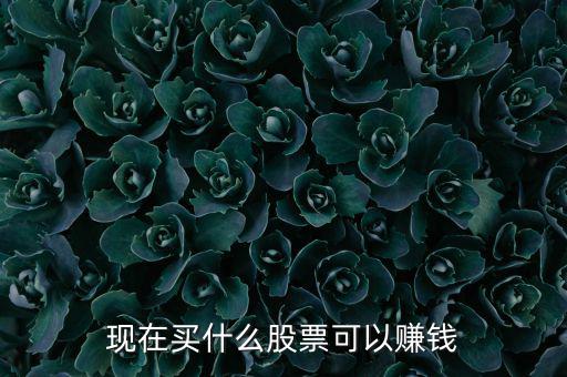 今年買什么股票可以賺錢，現(xiàn)在買什么股票可以賺錢