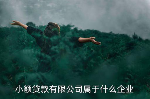 德善小額貸款是什么企業(yè)，德盛行小額貸款是不是真的