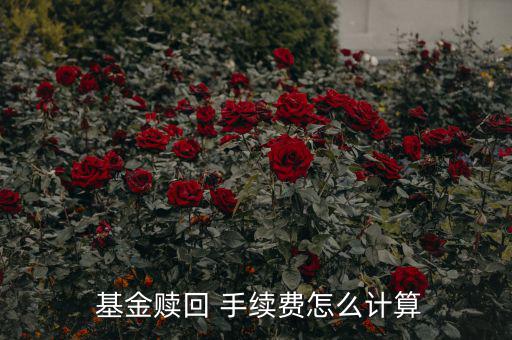 基金賣(mài)出手續(xù)費(fèi)怎么算,基金理財(cái)知識(shí)點(diǎn)（16）