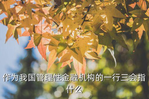 一行三會(huì)一局是指什么，作為我國管理性金融機(jī)構(gòu)的一行三會(huì)指什么