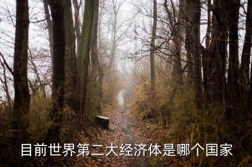 中國什么時候成為第二大經(jīng)濟體，中國成為世界第二大經(jīng)濟體是什么時候