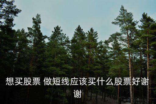 短線買什么股票好，散戶短線買哪些股票好