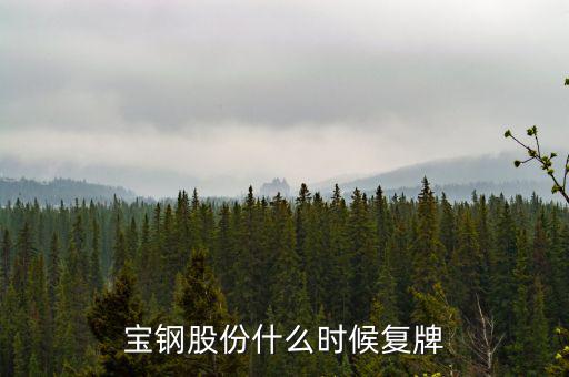寶鋼什么時候復(fù)牌，武鋼和寶鋼什么時候完成重組