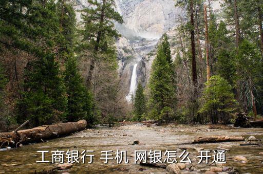 工商銀行 手機(jī) 網(wǎng)銀怎么 開(kāi)通