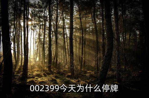 大連友誼為什么停牌，002399今天為什么停牌