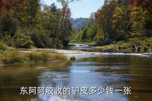 東阿阿膠股2012年是什么價位，誰知道山東東阿阿膠股份有限公司生產(chǎn)的補血膏多少錢一平300克的
