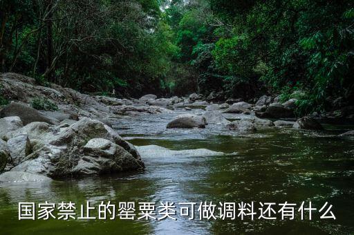 國家違禁香料有什么，國家禁止的罌粟類可做調(diào)料還有什么