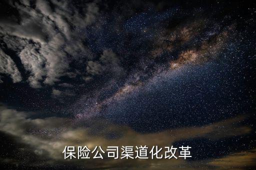 保險(xiǎn)公司為什么要發(fā)展多個(gè)渠道，誰(shuí)能解釋一下為什么車險(xiǎn)銷售渠道分那么多