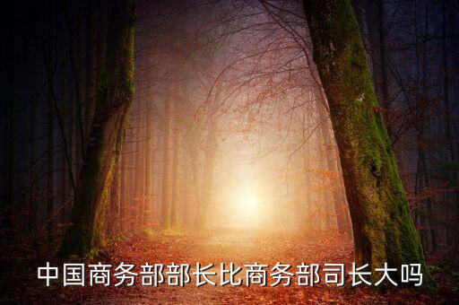 商務(wù)部部長(zhǎng)什么級(jí)別，商務(wù)部部長(zhǎng)多大的官