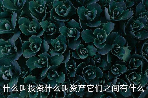什么叫可投資資產(chǎn)，什么叫個人可投資資產(chǎn)懂的答有分送呦