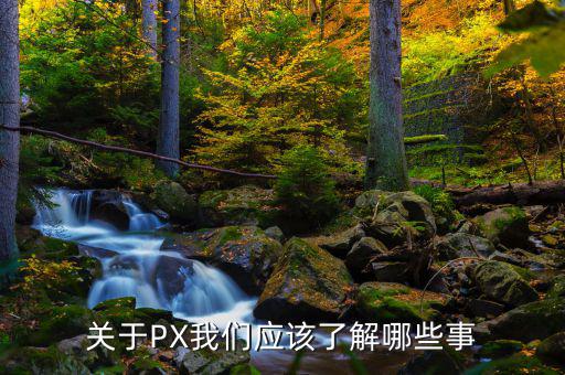px項(xiàng)目是干什么的，關(guān)于PX我們應(yīng)該了解哪些事