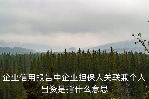 擔(dān)保人關(guān)聯(lián)是什么意思，企業(yè)征信中 擔(dān)保人關(guān)聯(lián)是什么意思