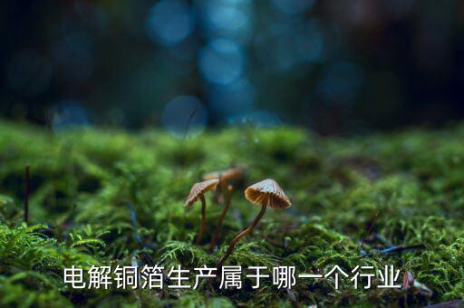 電子銅箔屬于什么行業(yè)，電解銅箔生產(chǎn)屬于哪一個行業(yè)