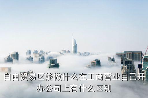 自貿(mào)區(qū)有什么生意做，自貿(mào)區(qū)可以做做小生意嗎
