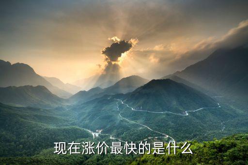 什么漲價快，大家猜猜看 什么東西會漲價的很快