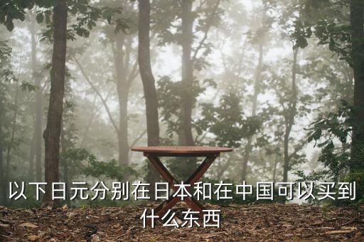 以下日元分別在日本和在中國(guó)可以買(mǎi)到什么東西