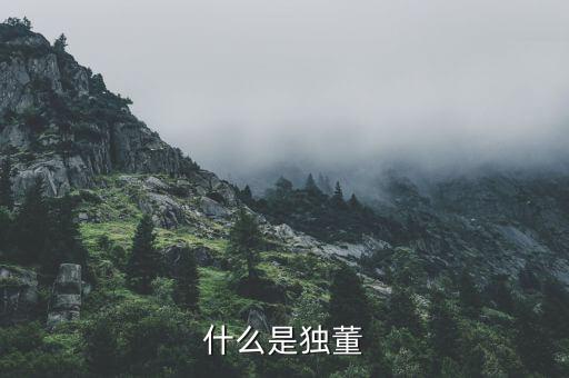 什么是官員獨(dú)董，懂事和獨(dú)立董事有什么區(qū)別都起有什么作用