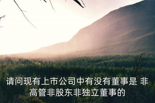 什么是非獨立董事，什么叫執(zhí)行董事非執(zhí)行董事和獨立非執(zhí)行董事