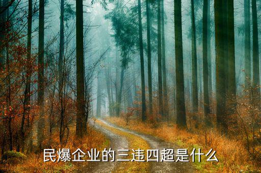 民爆企業(yè)的精髓是什么，民爆公司是甚么性質(zhì)單位
