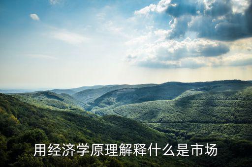 用經(jīng)濟學原理解釋什么是市場