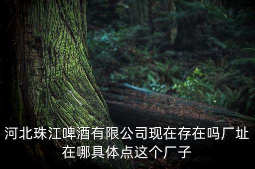 珠江啤酒為什么停牌，為什么市面上找不到珠江啤酒