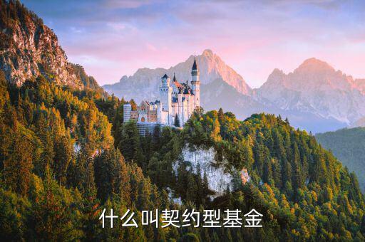 什么是合同型基金，什么叫契約型基金