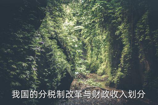 中國財政為什么會分權(quán)，西方的財政分權(quán)理論是否適合中國為什么