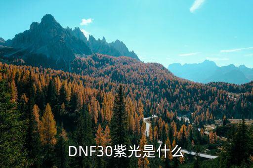 什么是308紫光，什么是紫光